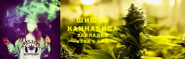 дживик Нязепетровск