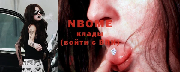 гидропоника Няндома