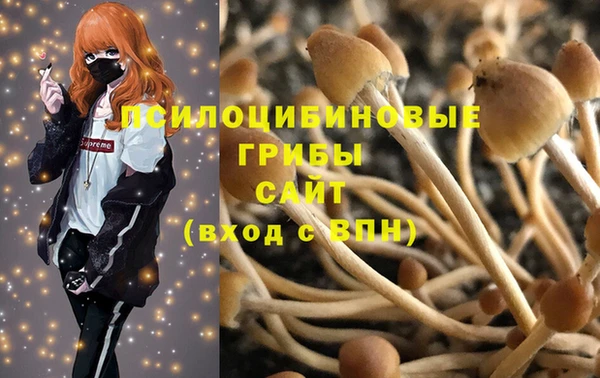 дживик Нязепетровск
