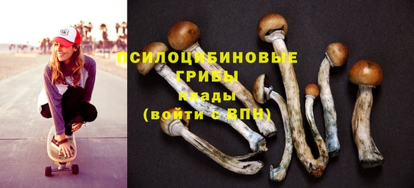 дживик Нязепетровск