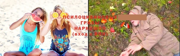 дживик Нязепетровск