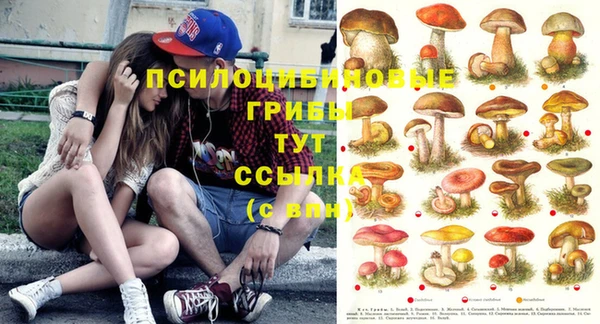 крисы Нягань
