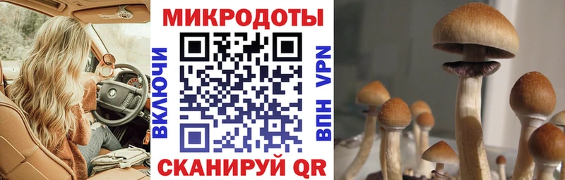 Галлюциногенные грибы GOLDEN TEACHER Гурьевск