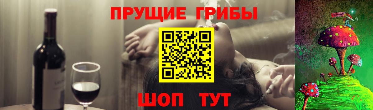 Псилоцибиновые грибы мухоморы  Гурьевск 