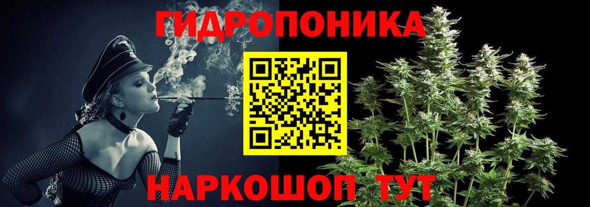 Шишки марихуана конопля  МАРИХУАНА сатива  Шишки марихуана гибрид  Вход с VPN  Гурьевск 
